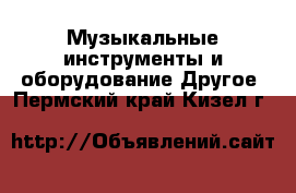 Музыкальные инструменты и оборудование Другое. Пермский край,Кизел г.